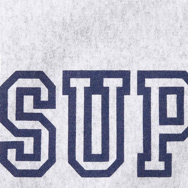 SUPREME 24FW Collegiate Sleeve Hooded Sweatshirts